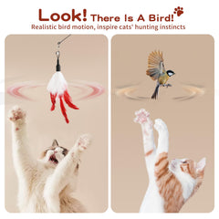 Pawaboo juguete con plumas naturales para cazar de forma lúdica.