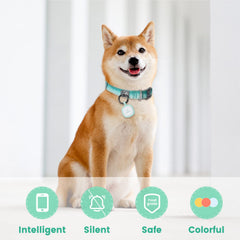 Code QR Pawaii sur l'identifiant chien, activation rapide et pratique.