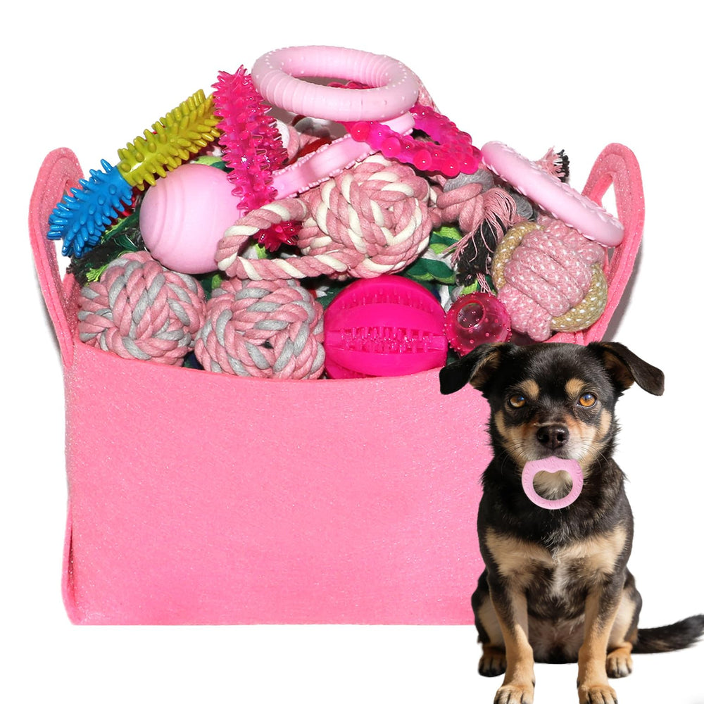 PawsAion conjunto de juguetes rosados para cachorros, ideal para masticar y jugar.