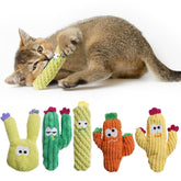 Pawsible cactus juguete interior para gatos, estimula juego activo en casa.