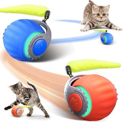 PawsomeFinds bola interactiva de velocidad para gatos en interiores