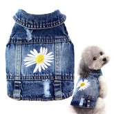 Pawstrip chaqueta denim perro bordado margarita para estilo diario