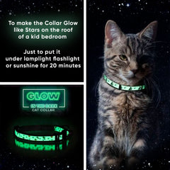 Collar Pawtitas con campana suave para localizar al gato