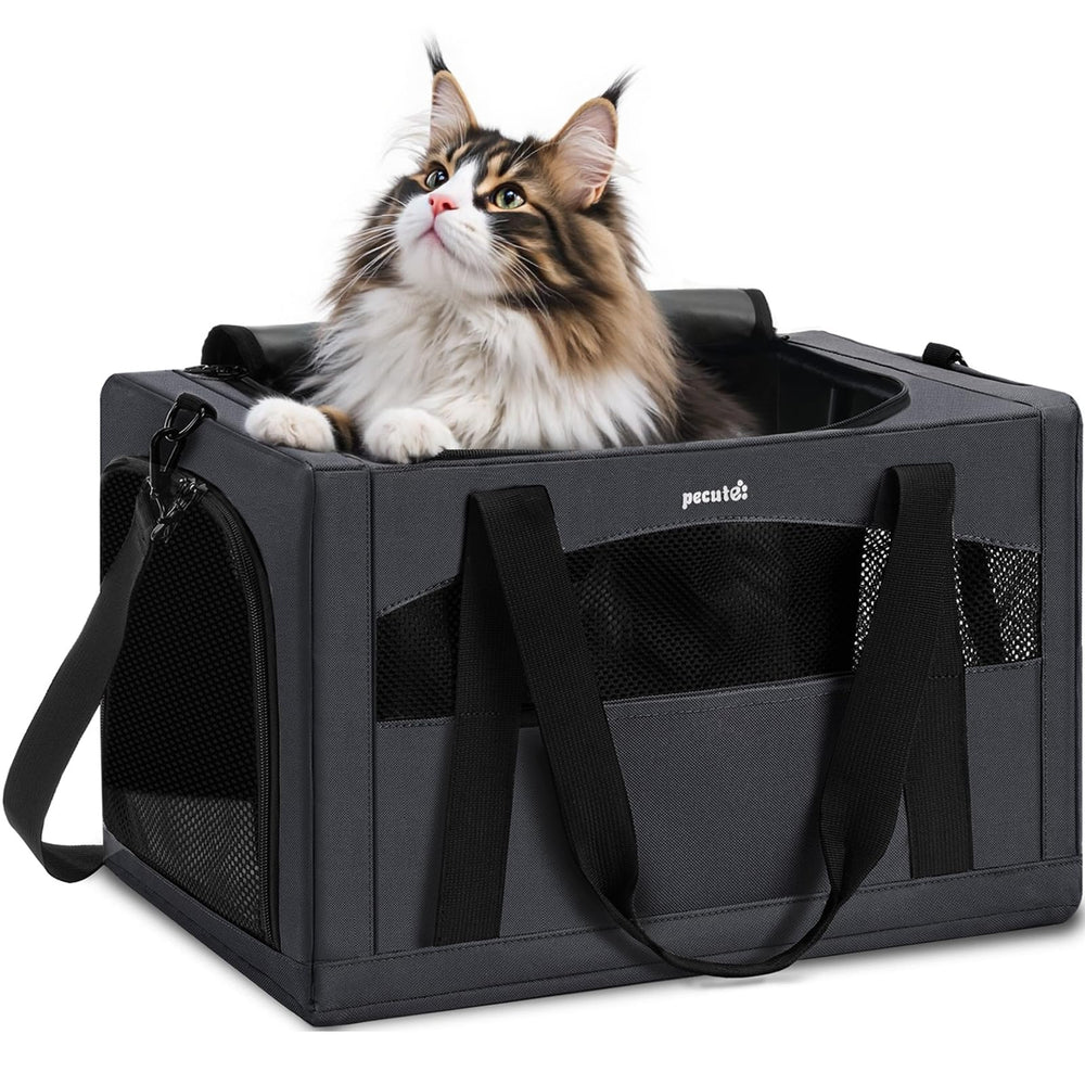 Pecute porta-gato ventilada para viaje cómodo