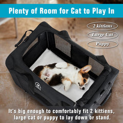 PEGIC diseño-suave-carcasa-gato: estructura estable para uso diario dentro del coche.