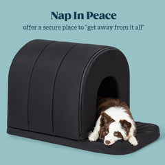 PELZIN casa perro espuma ortopedica en relieve para mayor confort.