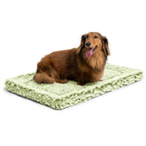 Pelzin Stoutwool Cama Indestructible para Jaula ofrece durabilidad en uso diario.