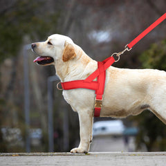 Arnés PET ARTIST forro de malla respirante, comodidad durante paseos largos.