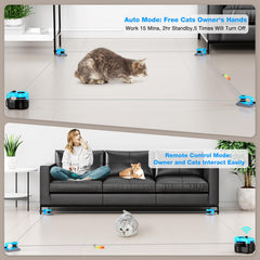 Pet Deluxe Juguete Gato Ganchos y accesorios para rutas creativas