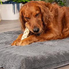 Envase CareChewz con 15 unidades para perros