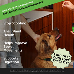 Gomitas suaves de Pet Honesty Scoot Stopper listas para masticar
