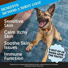 Pet Honesty: mezcla natural para apoyar la piel y el pelaje de tu perro.