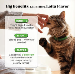 Pet Honesty: sabor pollo y aceptación entre gatos