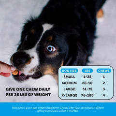 Pet Honesty: fórmula sin maíz, trigo ni soja para opciones limpias.