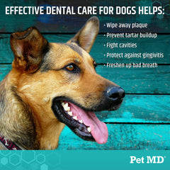 Aliento de manzana y menta con Pet MD para perros.