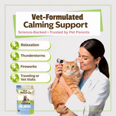 Pet Naturals Calming Chews gato-relajado-sala: demuestra tranquilidad en casa.