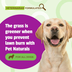 Pet Naturals Lawn Aid gomitas sabor pollo, premios sabrosos que apoyan la salud urinaria