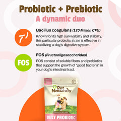Pet Naturals Probiotics para perros: apoyo inmunitario a través de la salud intestinal