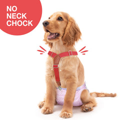 Pet Soft tirantes para perro, ajuste amplio cubre tres tallas