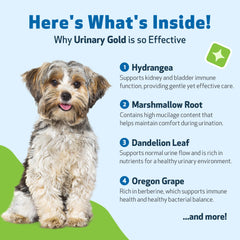 Pet Wellbeing Urinary Gold, gotero listo para dosis diarias