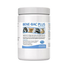 Bene-Bac Plus envase de polvo de 1 lb para soporte digestivo en mascotas.