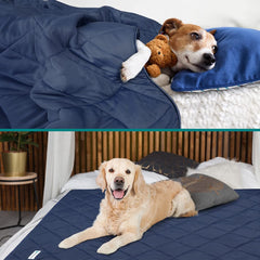 Manta fría PetAmi para gato en la cama, ideal para diario calor.