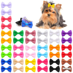Lazo navideño Petbuy para perro, vibra festiva para fiestas.