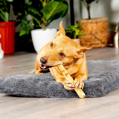 Pet Factory Beefhide saboreo-pollo-rolos-delgados para perros curiosos.