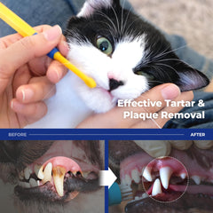 PETHROOM cepillo dental para gatitos, diseño suave para dientes pequeños