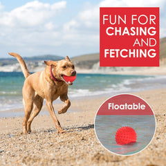 Petizer bola flotante con sonido para juego al aire libre