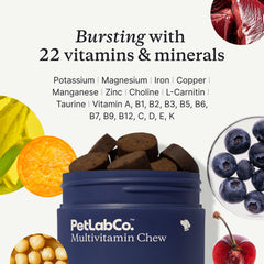 Ingredientes clave y vitaminas para piel y pelaje en PetLab Co