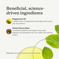 Le prébiotique inuline soutient la digestion grâce à la racine de chicorée.