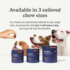 PetLab Co. bocaditos para morder, favorecen el equilibrio intestinal en perros.