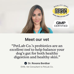 PetLab Co. con 8 cepas, apoyo al sistema digestivo de tu perro.