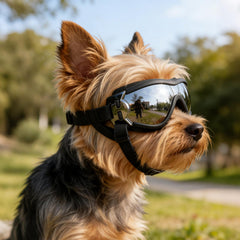 Lentes tintados PETLESO, protección UV para un vistazo claro durante caminatas.