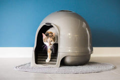Petmate Booda Clean Step Dome, diseño cerrado para privacidad y control de olores