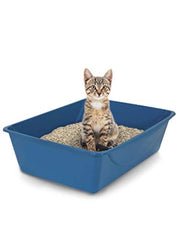 Petmate caja de arena abierta, base ancha para contener la arena