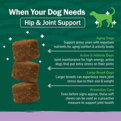 PetNC Hip & Joint, MSM para flexibilidad y confort diario