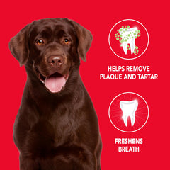 Cepillo dental suave para cepillado diario de perros Petrodex.