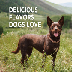 Pasta dental enzimática Petrodex para perros, enzimas patentadas.
