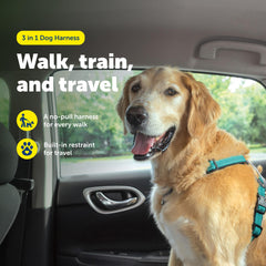 PetSafe 3-en-1 arnés ajuste-correa ventral para comodidad diaria