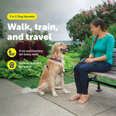 PetSafe Arnés 3 en 1 ciruela ajuste cómodo para uso diario.