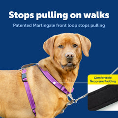 PetSafe Arnés 3 en 1 ciruela costuras reflectantes para mayor visibilidad nocturna.