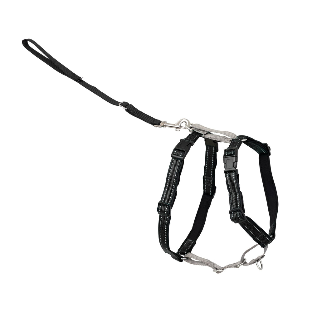 PetSafe arnés 3-en-1 con correa frontal para redirigir al perro en paseos