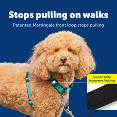 PetSafe Arnés 3 en 1 con costuras reflectivas para visibilidad nocturna
