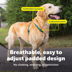 PetSafe 3-en-1 arnés tejido reflectante mejora visibilidad nocturna