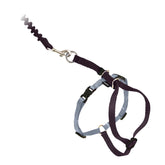 Arnés PetSafe para gato en uso durante paseo cómodo y controlado.