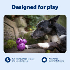 PetSafe Barnacle, cámaras-premios: tres compartimentos para golosinas.