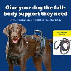 PetSafe CareLift arnés con asas delanteras y traseras acolchadas para movilidad suave.