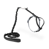 Arnés PetSafe Come With Me para gatos con ajuste dual para mayor seguridad